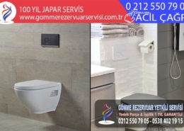 100 yıl japar servis