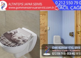 altıntepsi japar servis