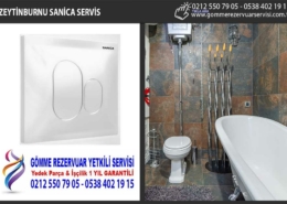 zeytinburnu sanica servis